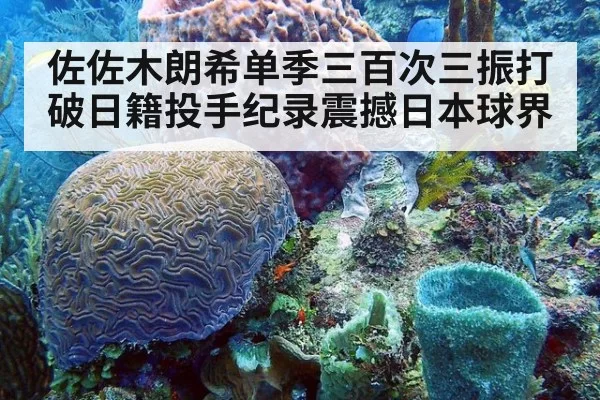 佐佐木朗希单季三百次三振打破日籍投手纪录震撼日本球界