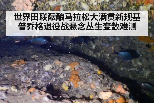 世界田联酝酿马拉松大满贯新规基普乔格退役战悬念丛生变数难测